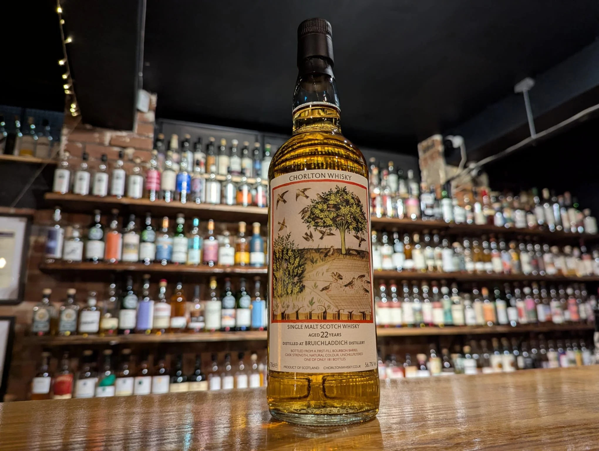 WhatsApp Image 2025-11-02 at 17.29.51.jpeg