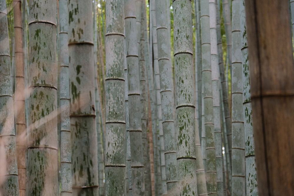 japan-arashiyama-fushimi-miyama-6.jpg