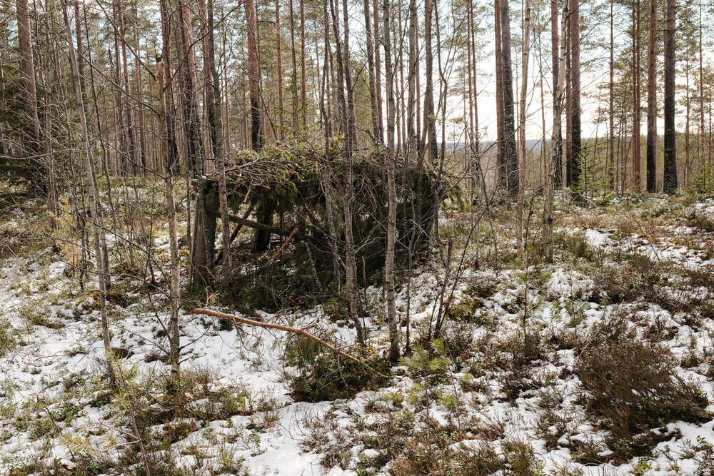 finland_snow-4.jpg