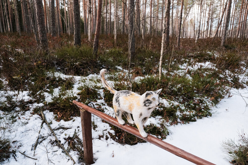 finland_snow-11.jpg