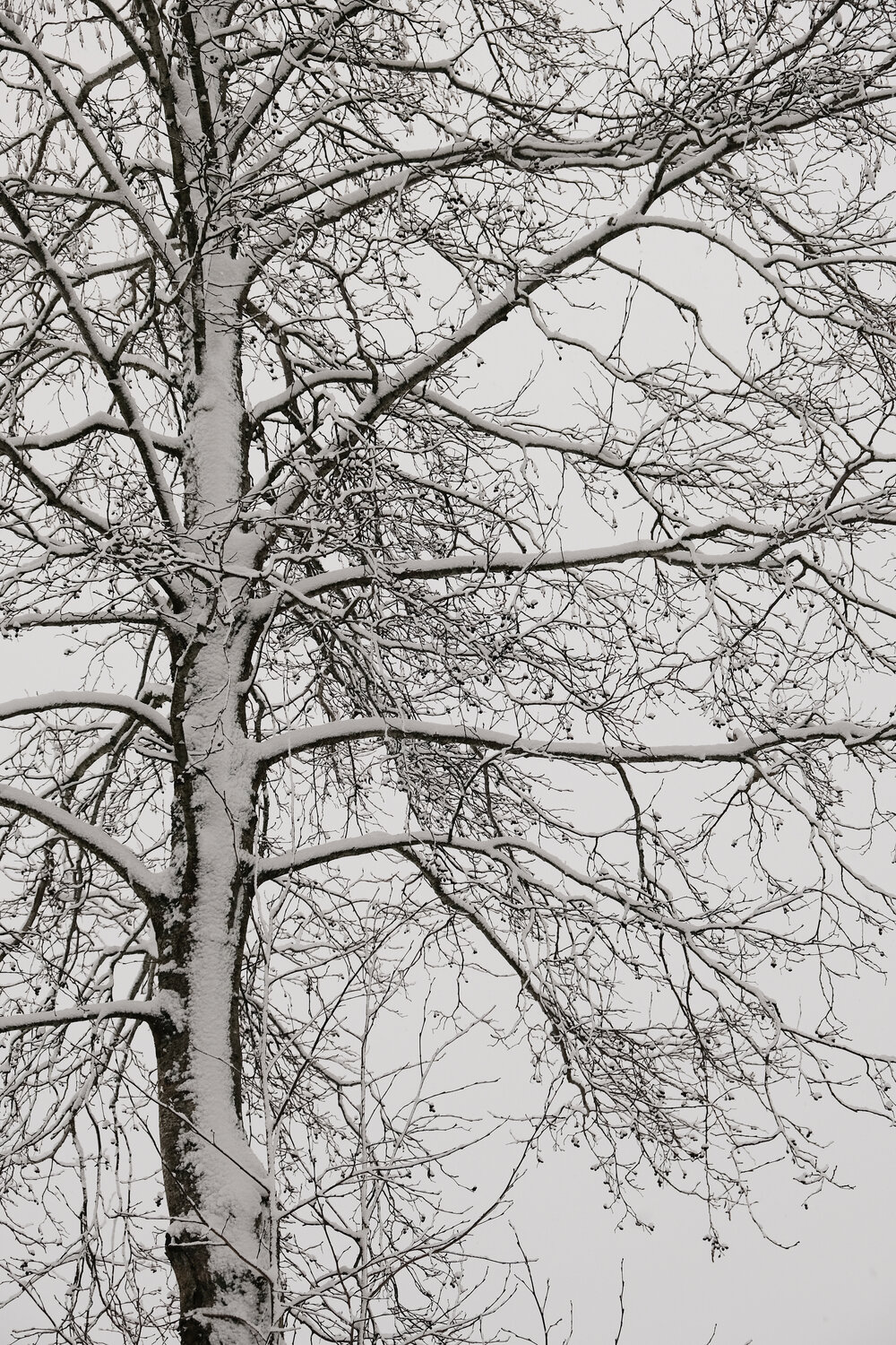 finland_snow-31.jpg