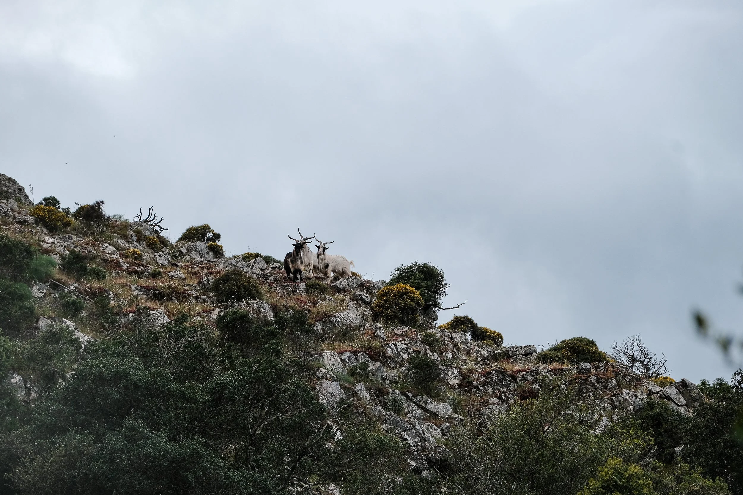 DSCF7496.jpg