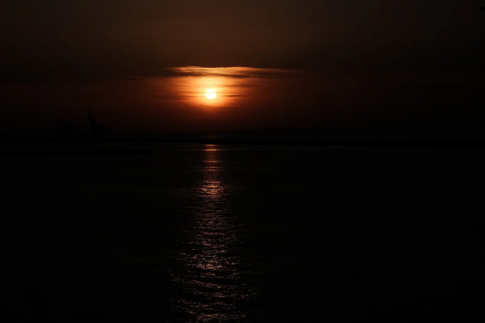 DSCF8039.jpg