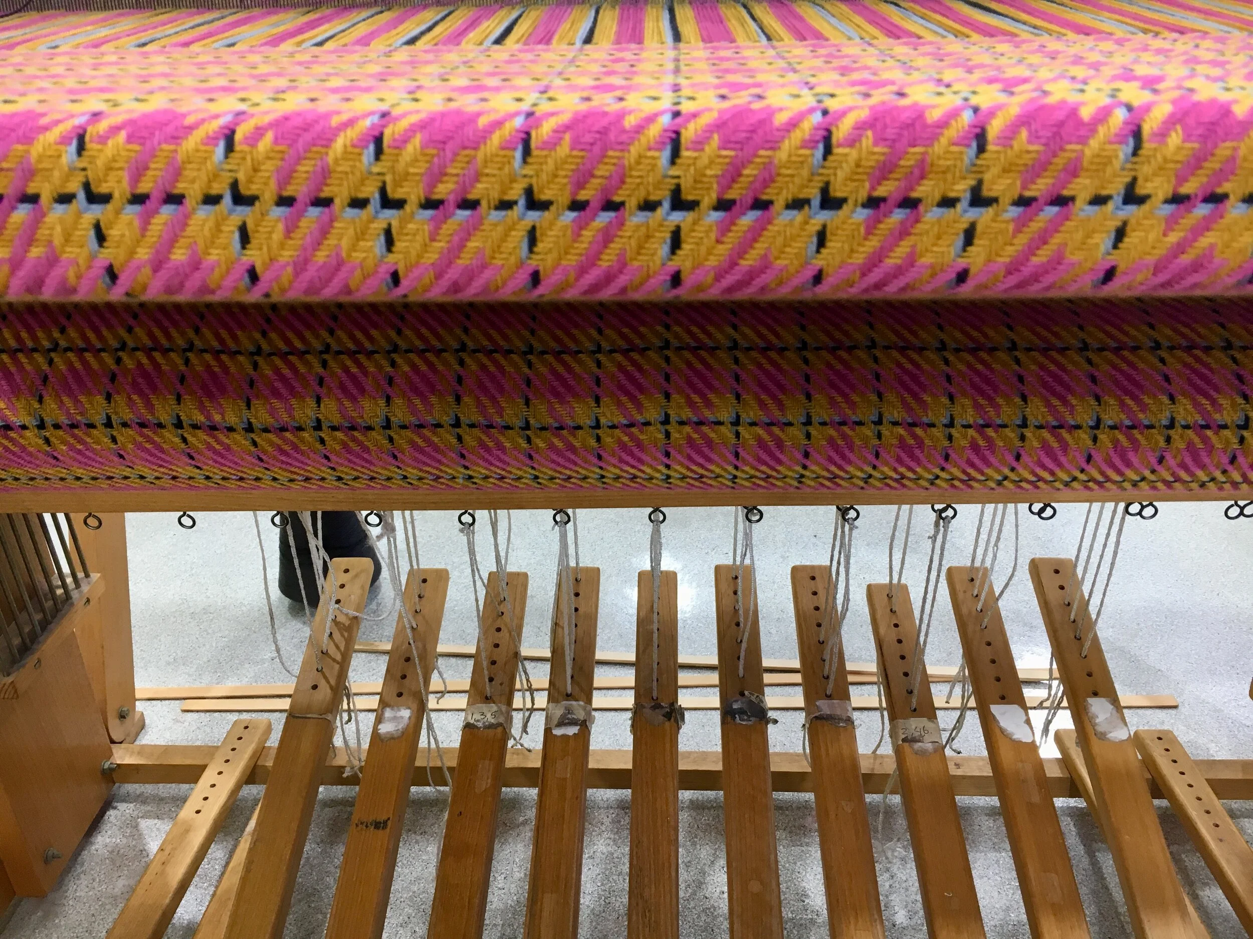 Ana Petidis_loom view Spring.jpg