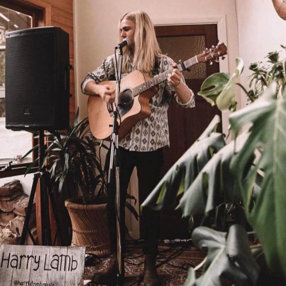 Harry Lamb Live at the Lane