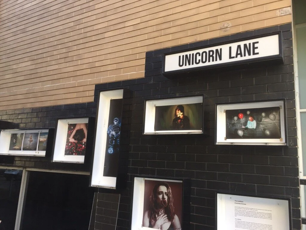 Unicorn Lane Exhibition - The Ineffable by Charlotte Grimes