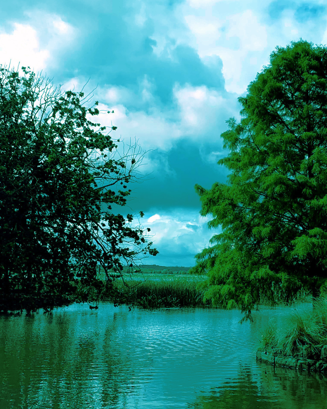 Waterway Soundwalk (1).png