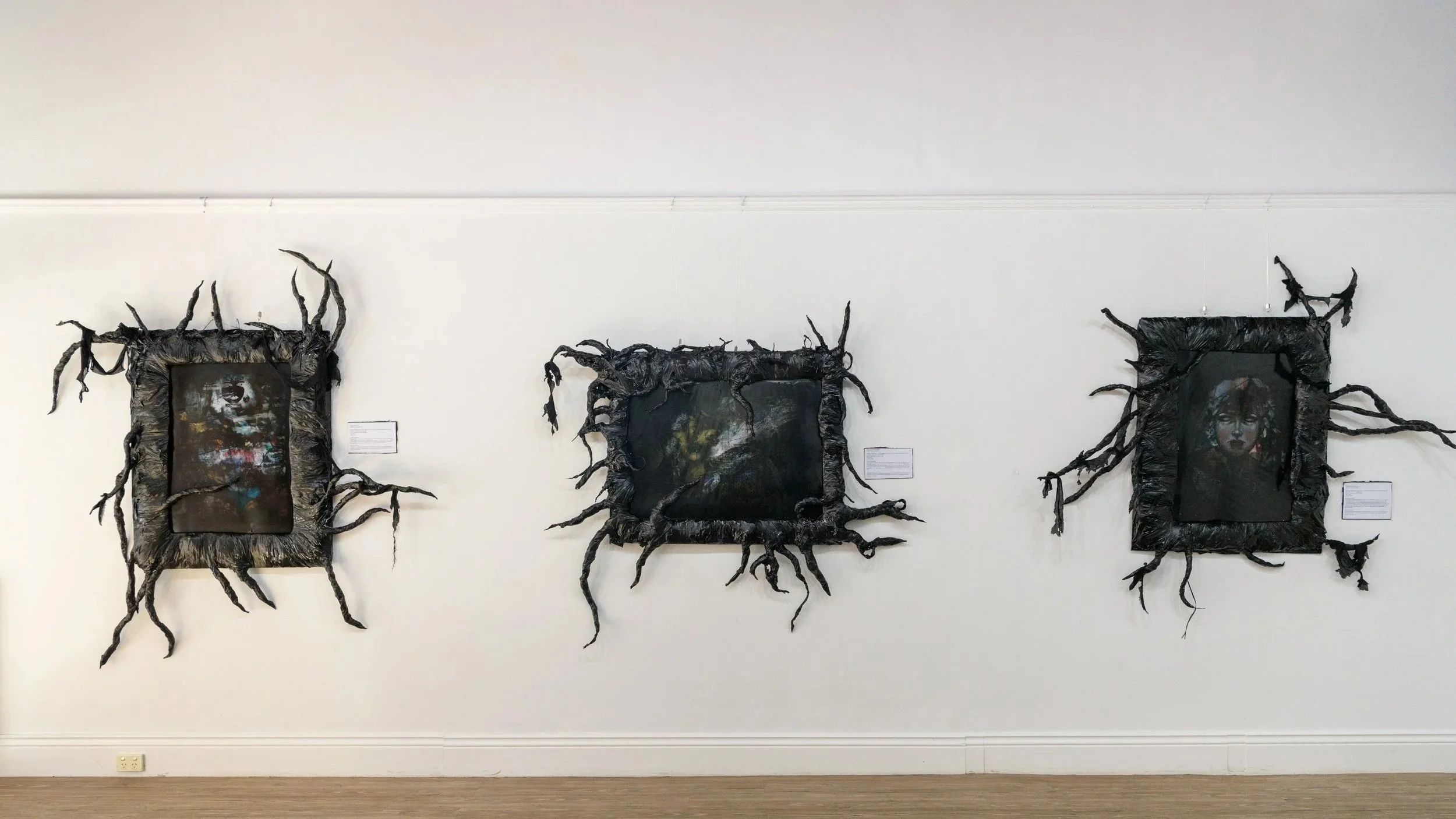 SunflowerImaging-20250424_145421 (1).jpg