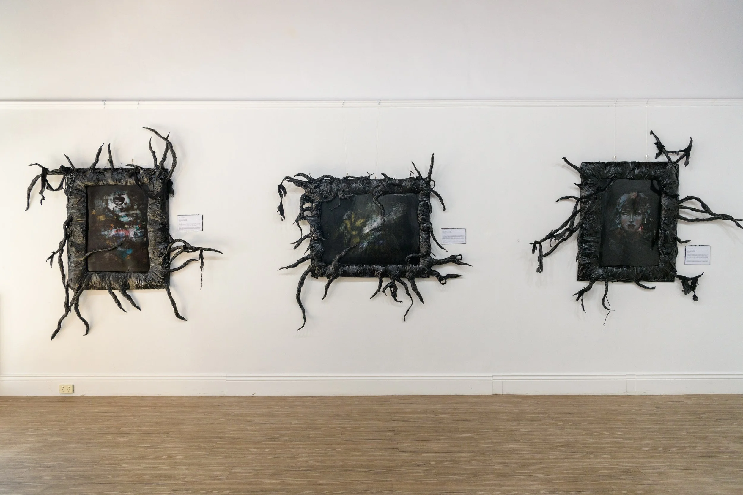 SunflowerImaging-20250424_145421 (1).jpg