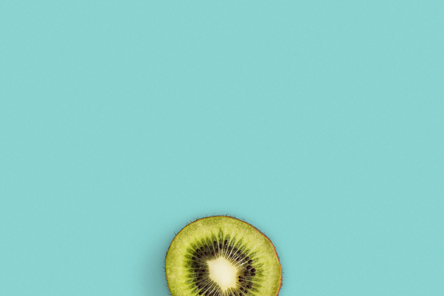 kiwi.jpg