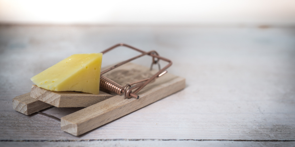 Why is a Top-to-Bottom Property Survey Necessary?