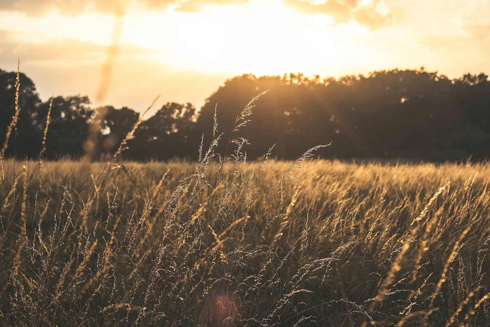 Dusk Web Optimised.jpg