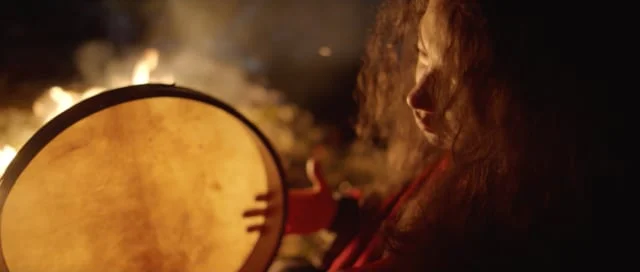 Petrol Office - Wolf