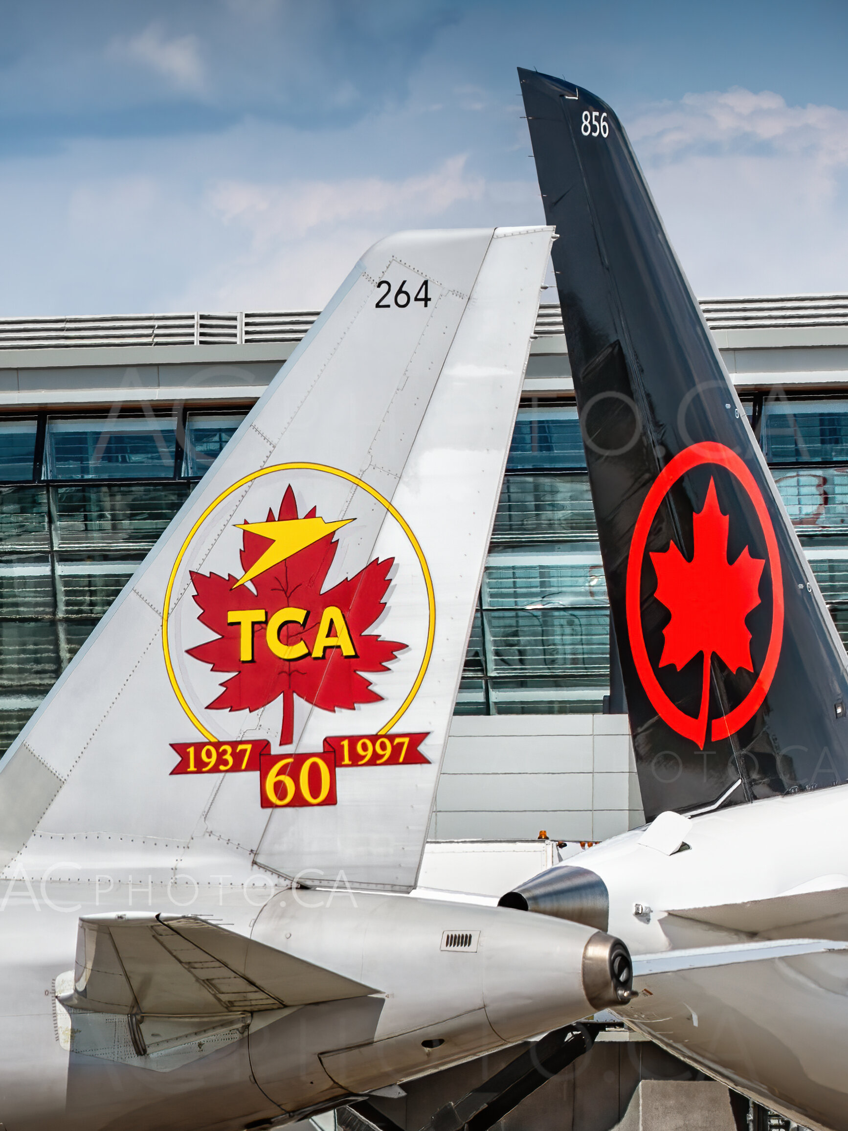 YYC: Old & New Tails