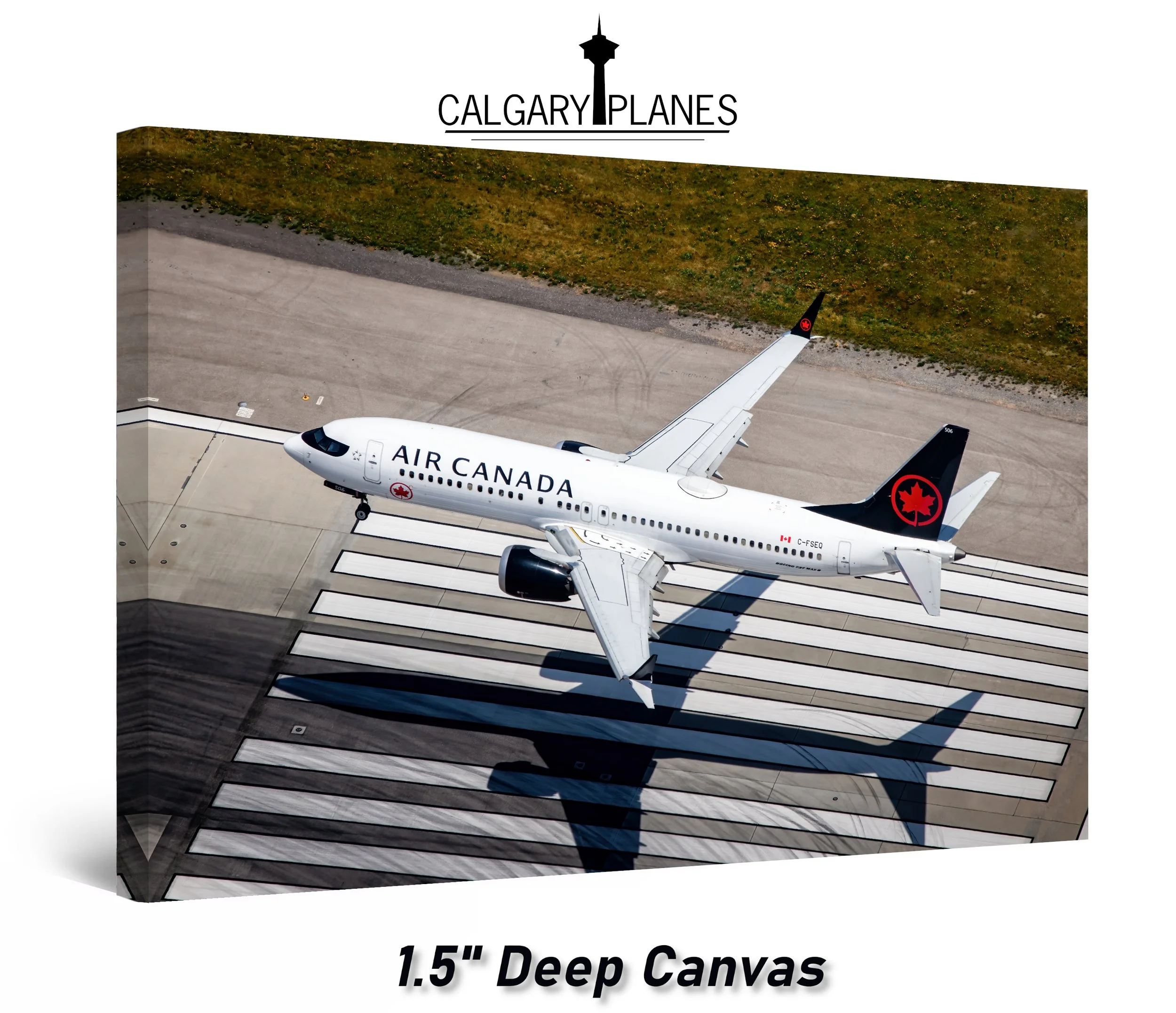 accanvas30.jpg