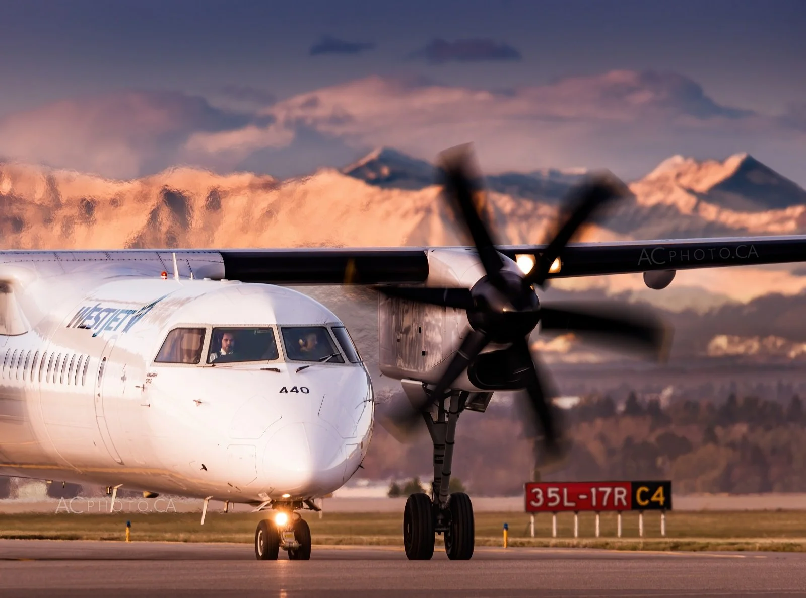 YYC191004-1fb.jpg