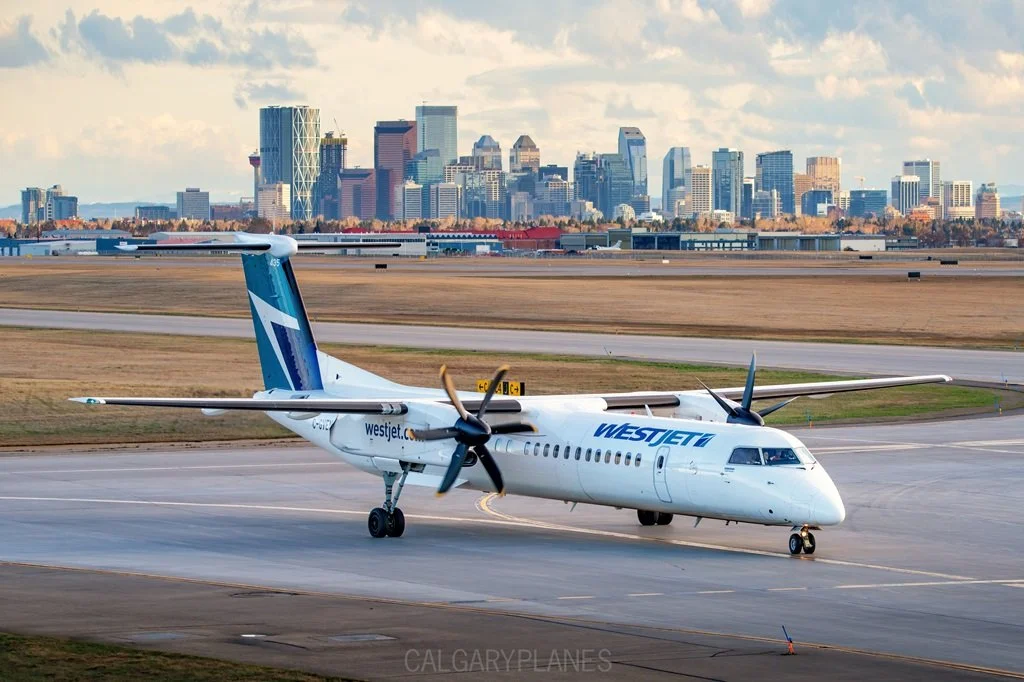 YYC1800430-1fb.jpg