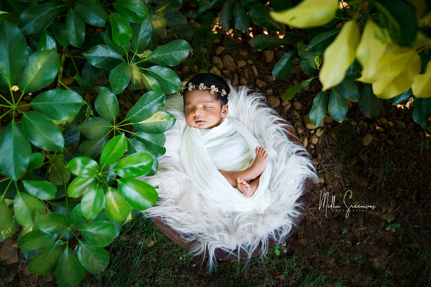 Newborn Baby Maternity Birth Photographer in Kochi Kerala Midhu ...