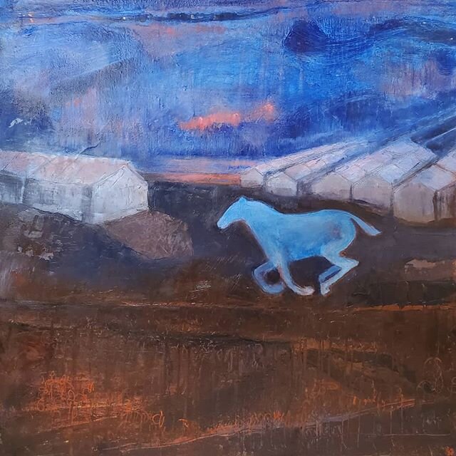 New work, evening chill (Karen's run), 24x24, oil and wax on canvas #inprocess #painting #arabianhorses #hadbaaenzahearabian