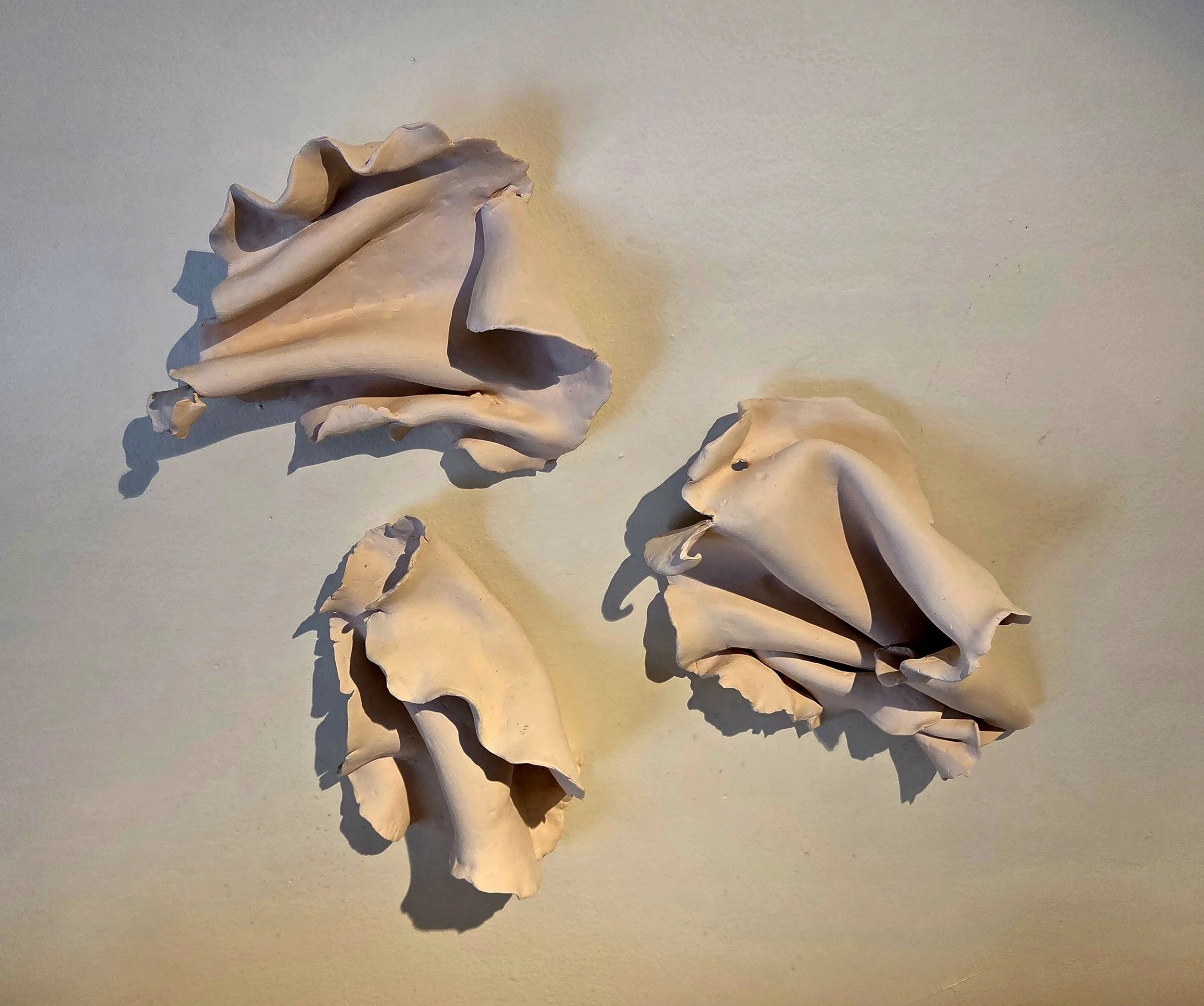 Testing wall installation 