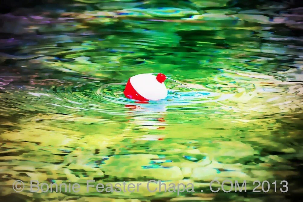 Giclee Print Cork Fishing Bobber Fish River Water Texas Art  The Silo  House At Laughing Llama Farm