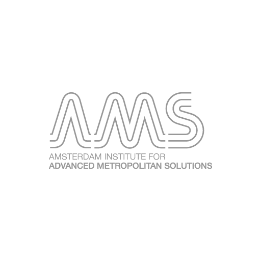 AMS-Institute Logo