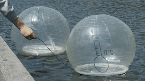 Urban Swimming Alert