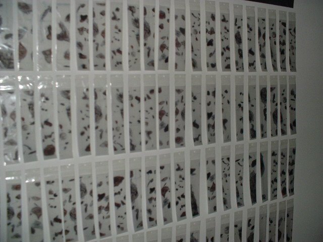 Project Cotton Candy