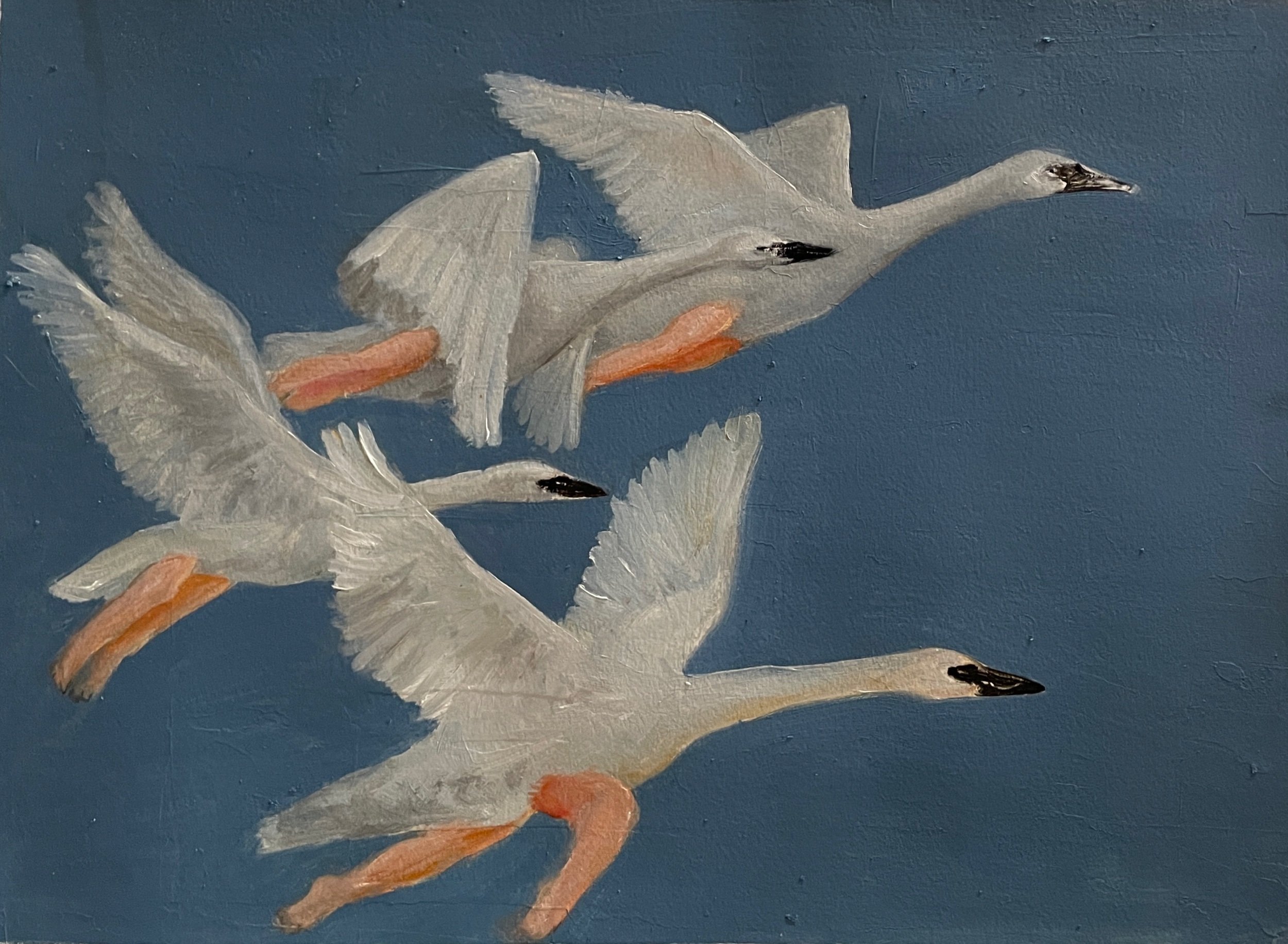 The children of Lir