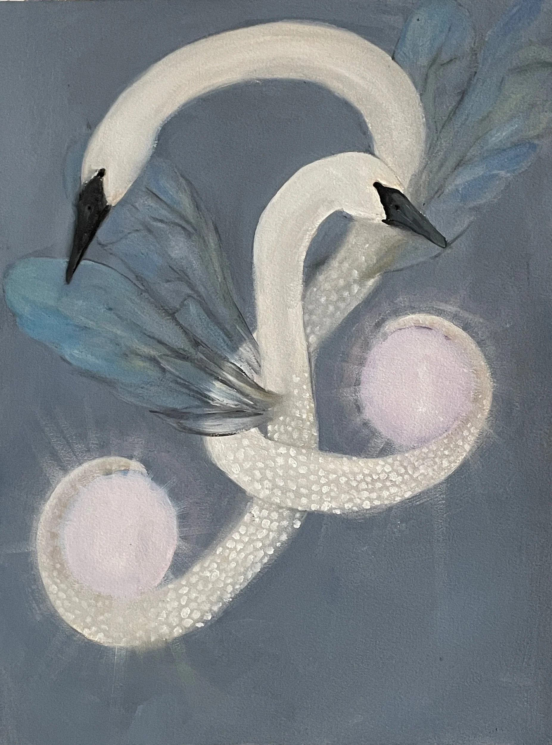 Swansects