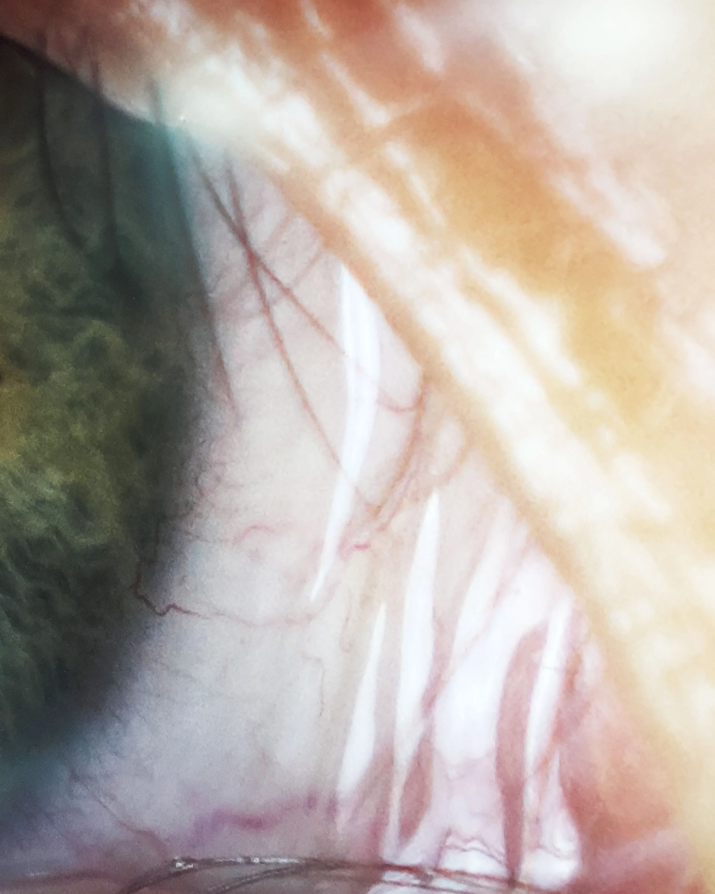 eyepostcards.jpg