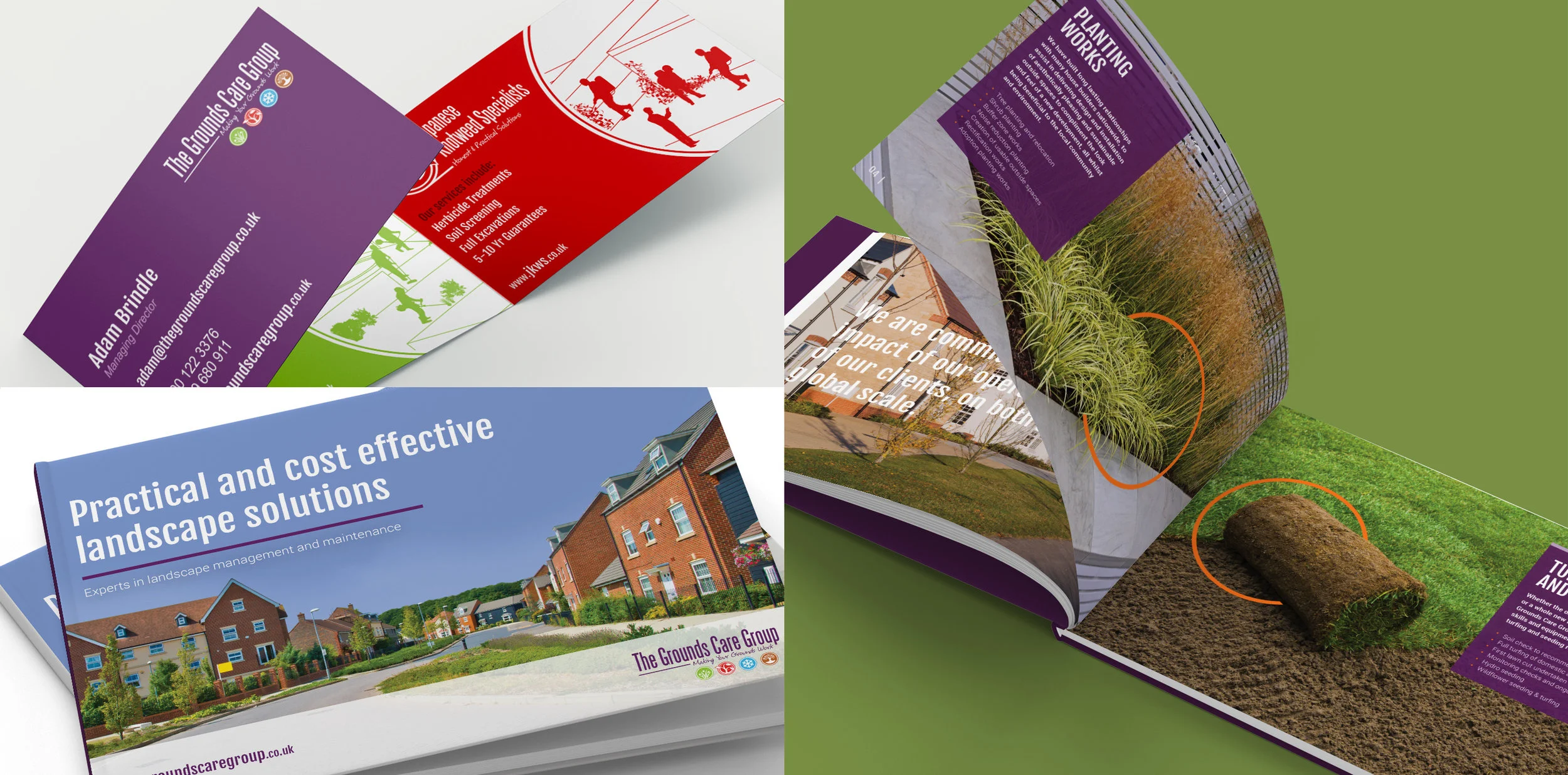 Knotweed_casestudy_portfolio_work_thegroundscaregroup.jpg