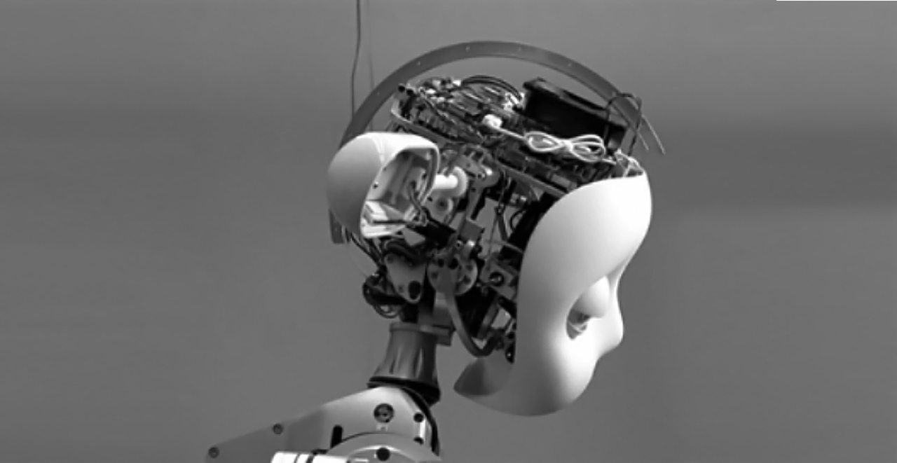 Image credit: MEKA Robotics