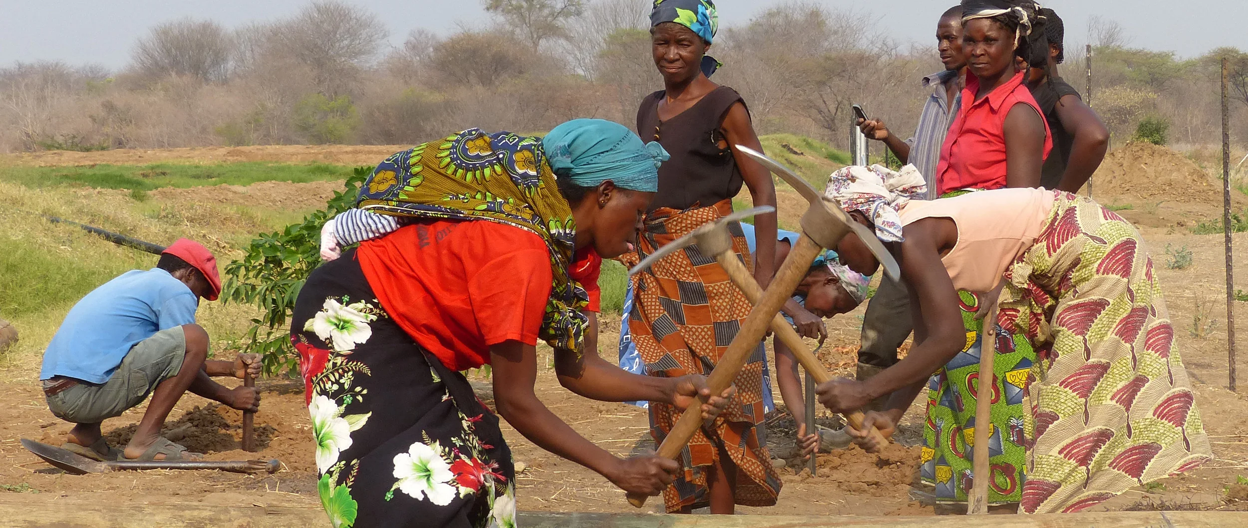 Africafarming.jpg