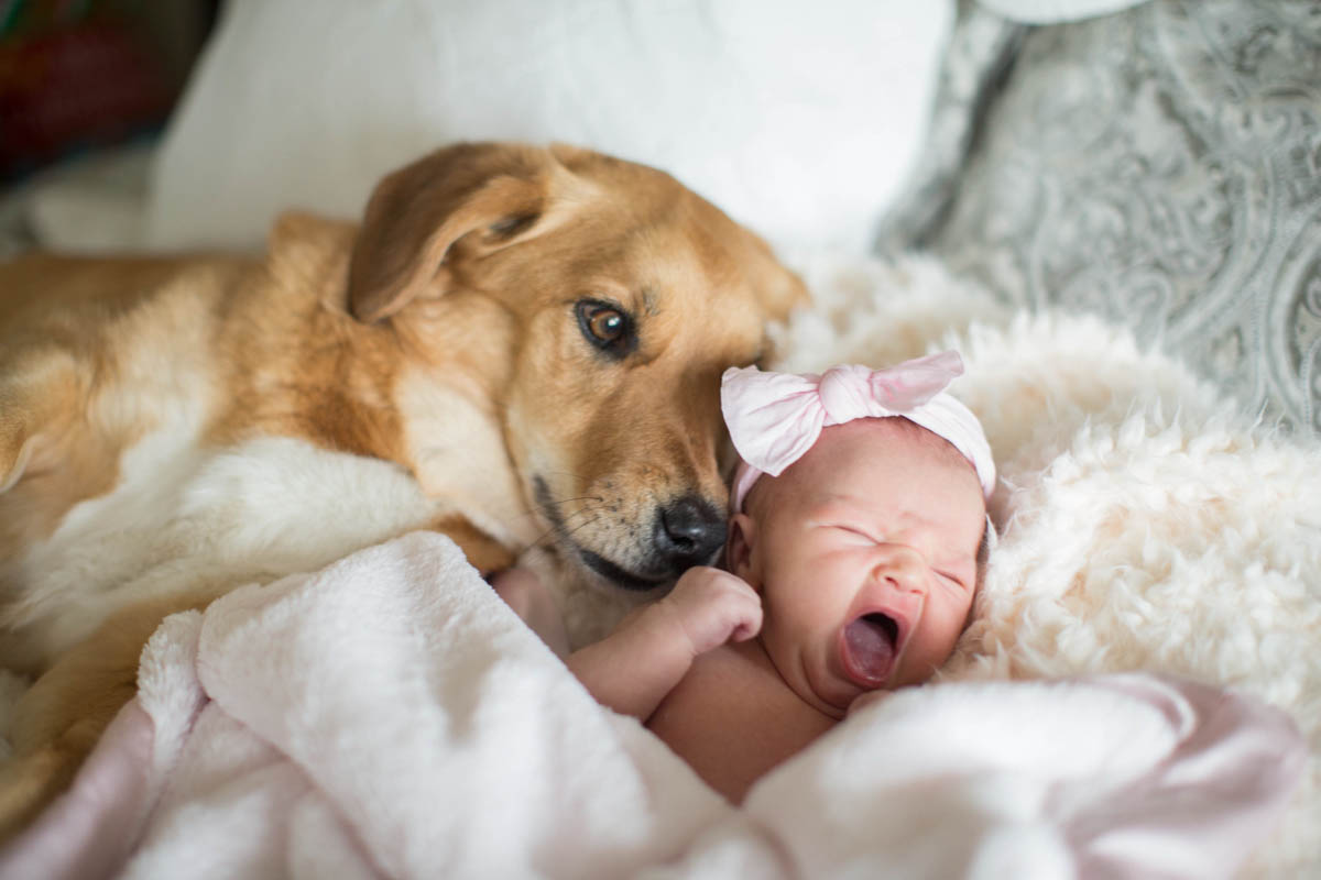 Homepage-05.jpg