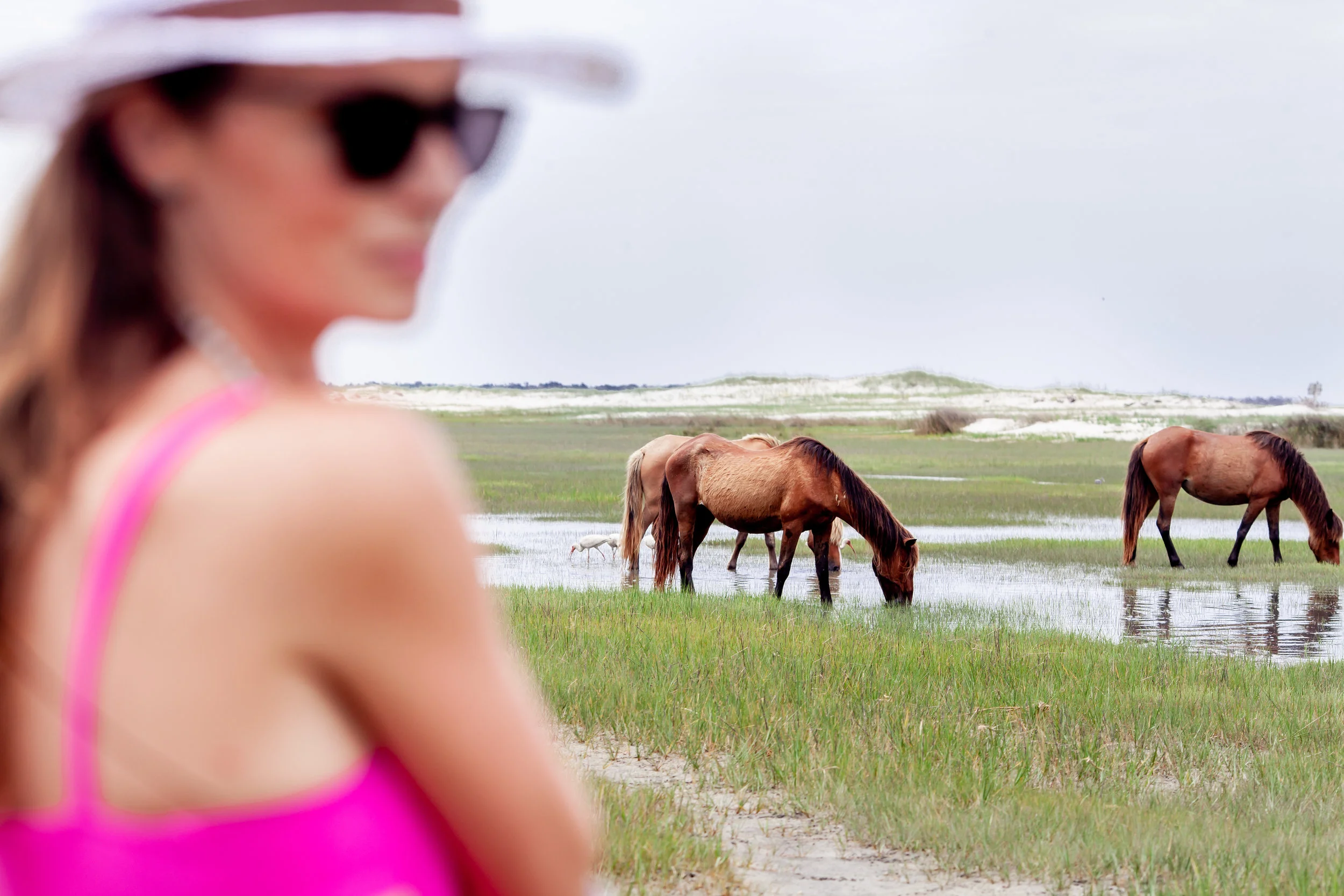 Crystal Coast // Outer Banks