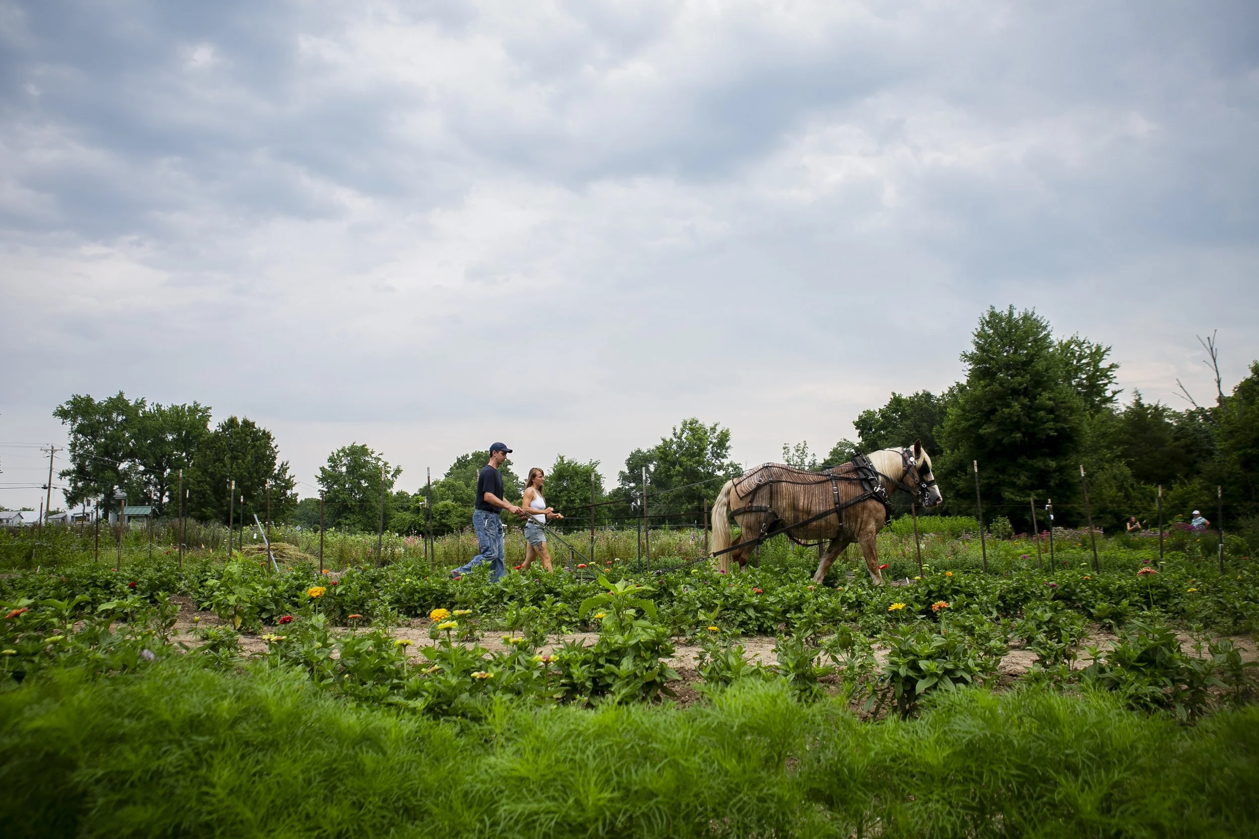 0008TURNER FARM.JPG