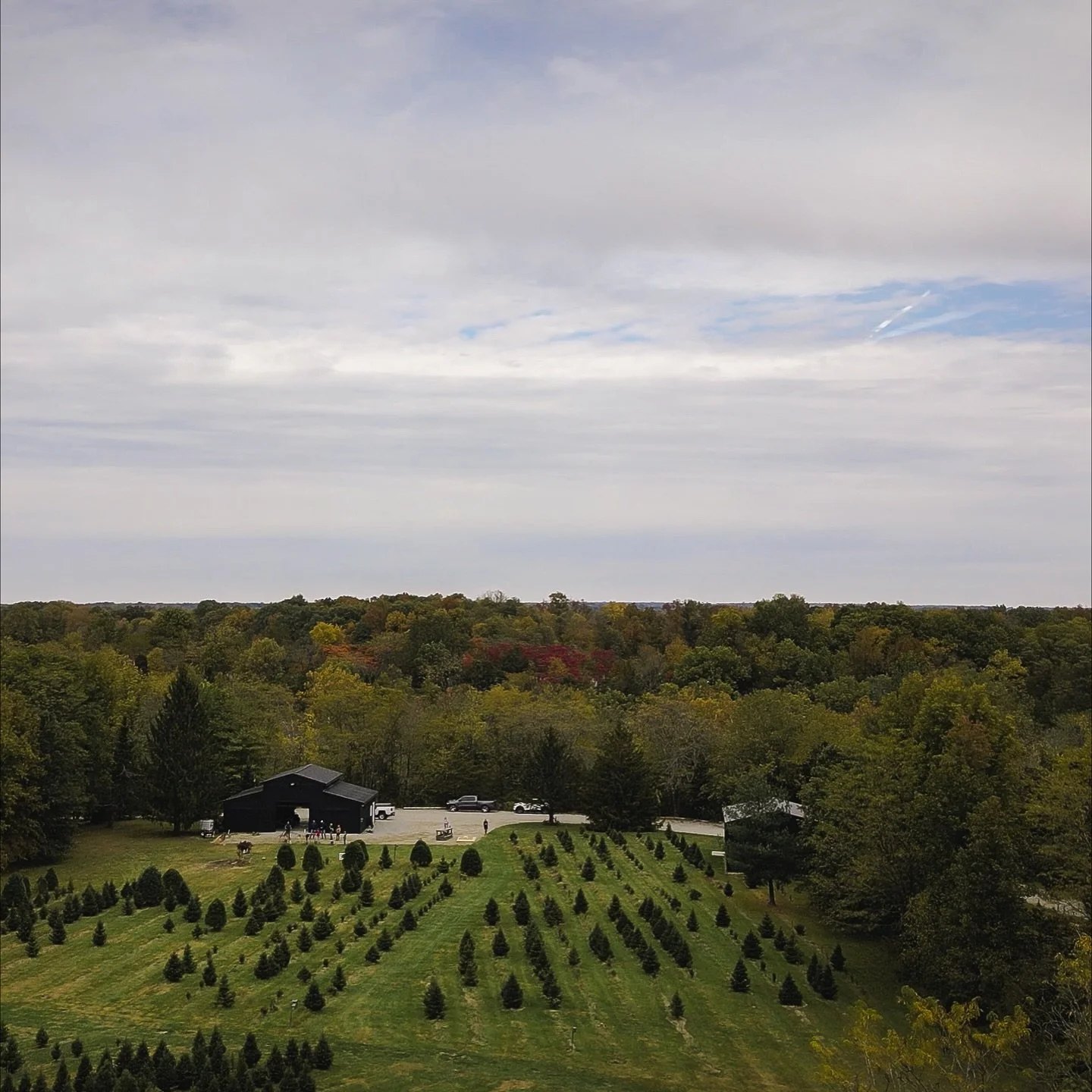 A little drone practice today at the tree farm. 
#christmastreefarm #ohiogram #ohio