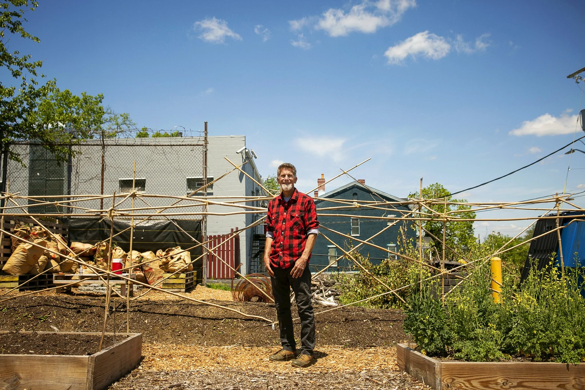 Man standing in a garden with plants and a makeshift bamboo trellis under a clear blue sky.