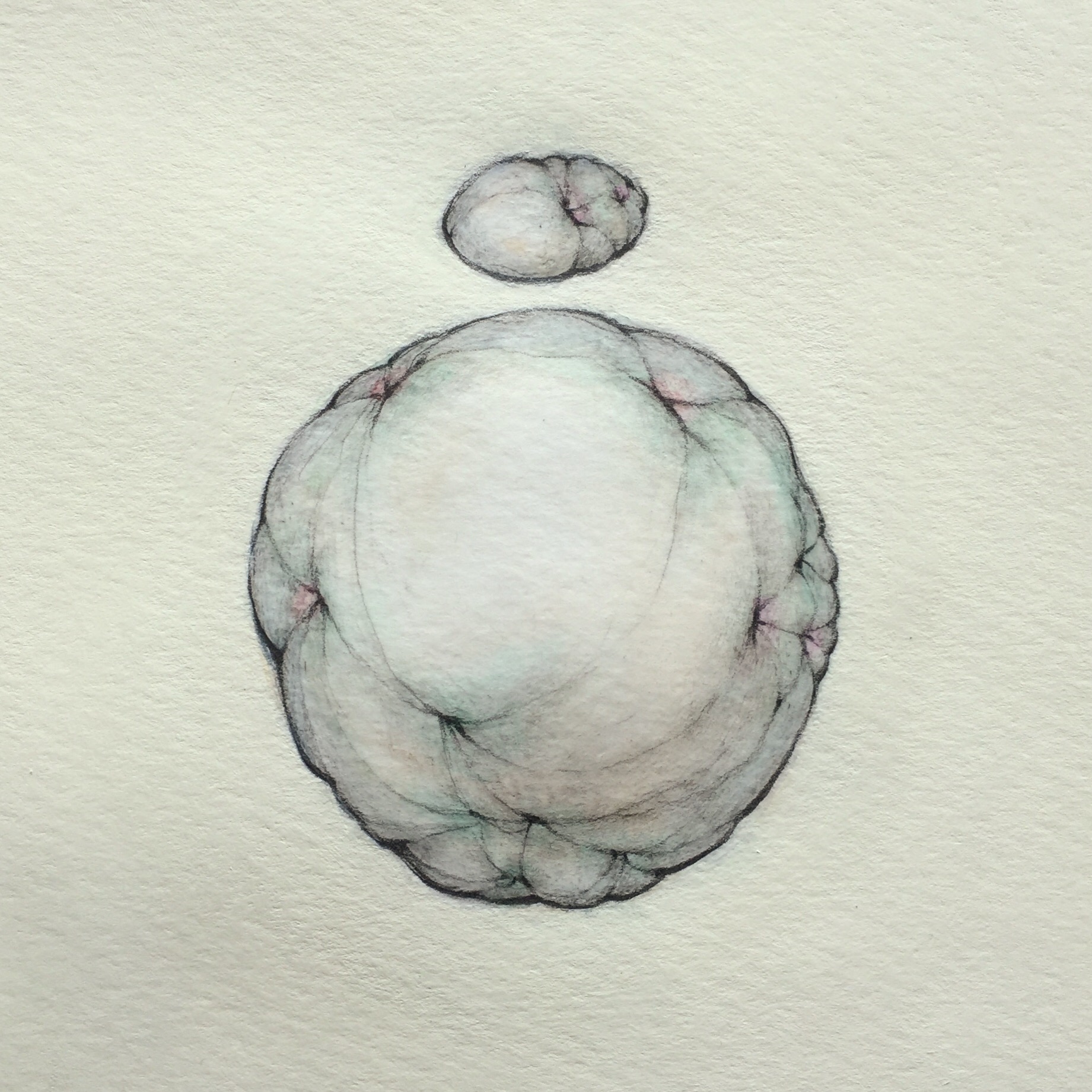 5-2-2019