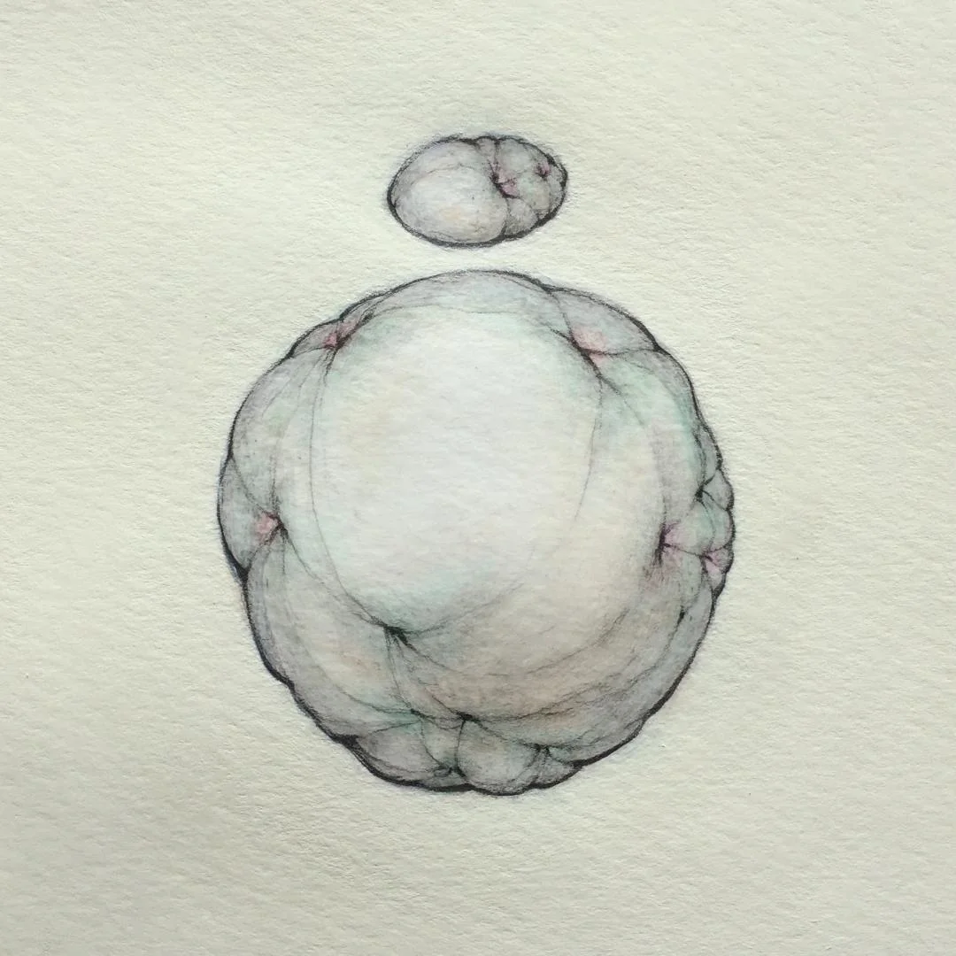 Small Ellipsoid Over Large Ovoid on Yellow 9" x 9" - 2019