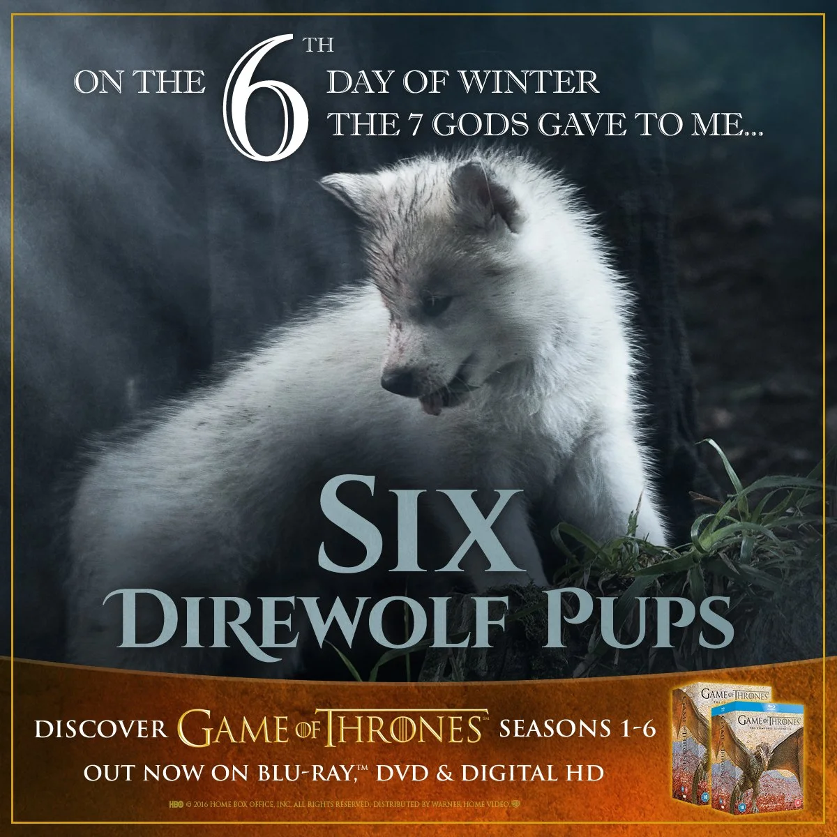 GOT_S1-6_2016 ADVENT CALENDAR_DAY6.jpg