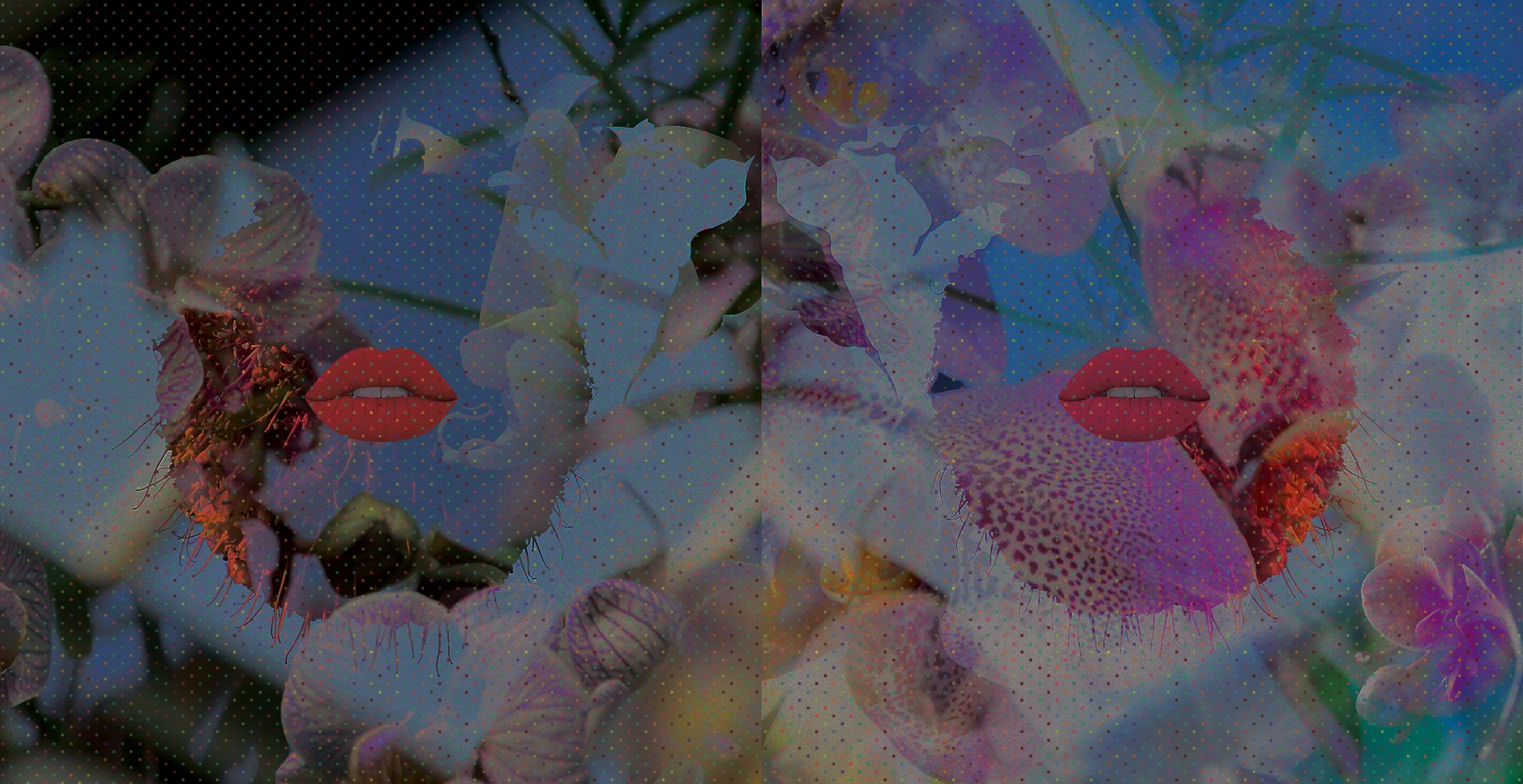 Cover1.jpg