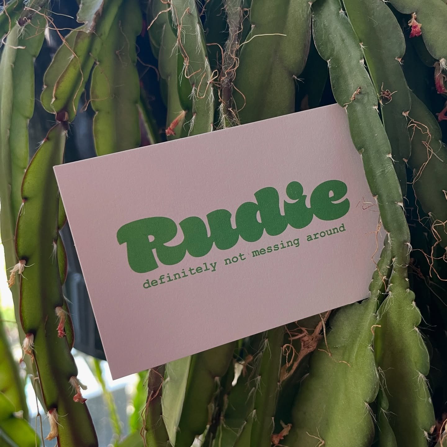 New logo for my design stuff. You can find my work at rudiedesign.com if you ever need that sort of thing 🥰