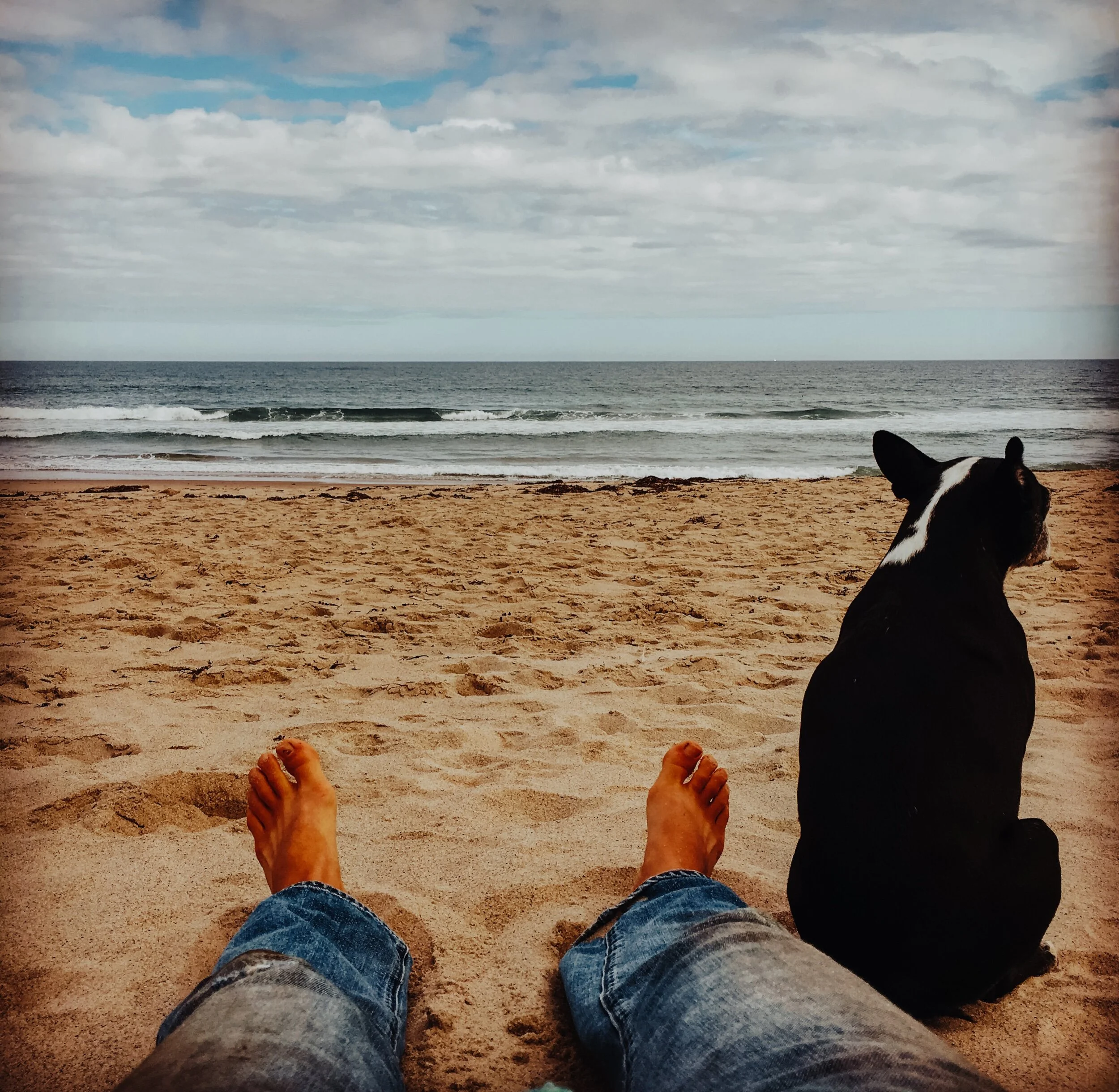 Pato and Social distancing