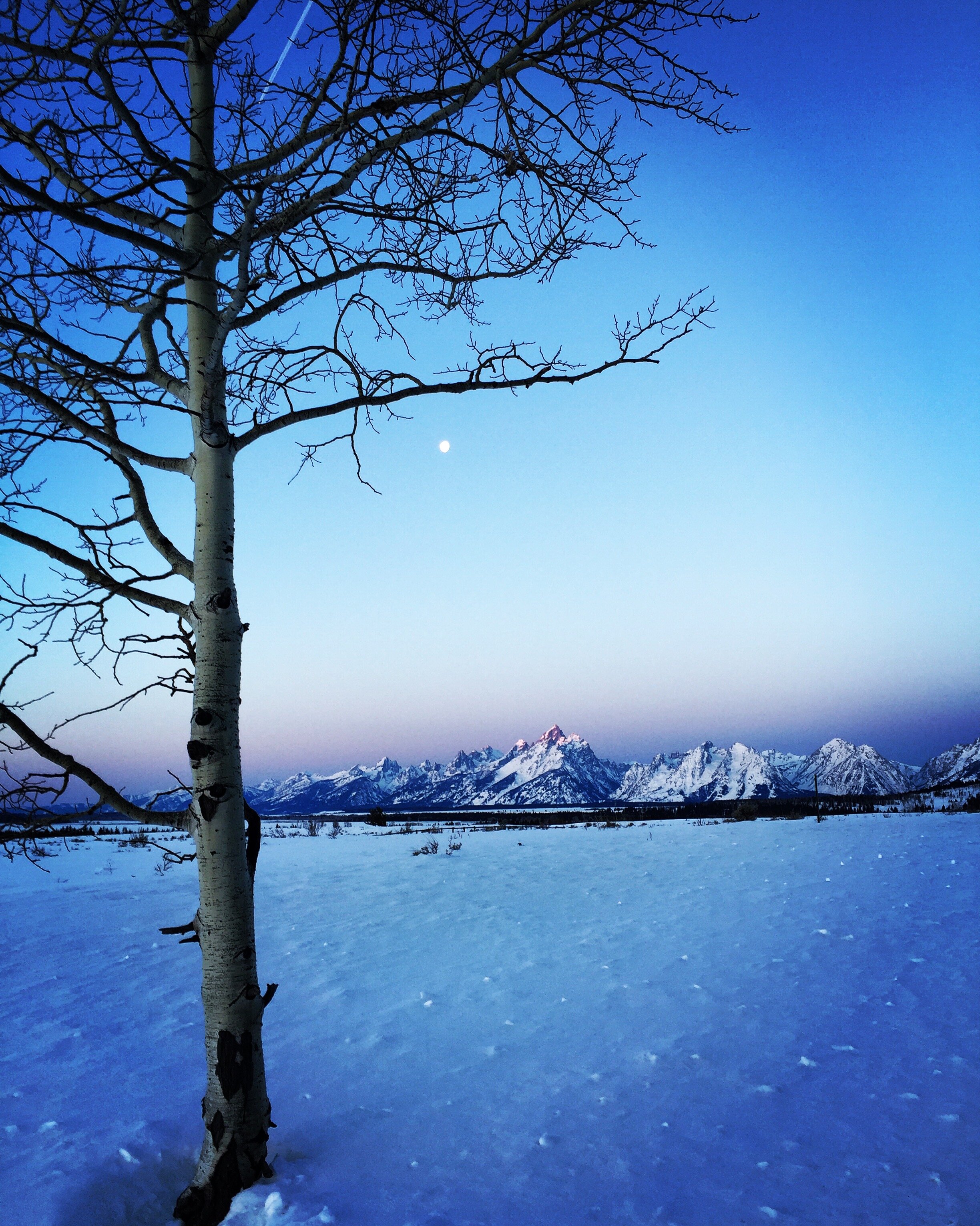 Developing Attention