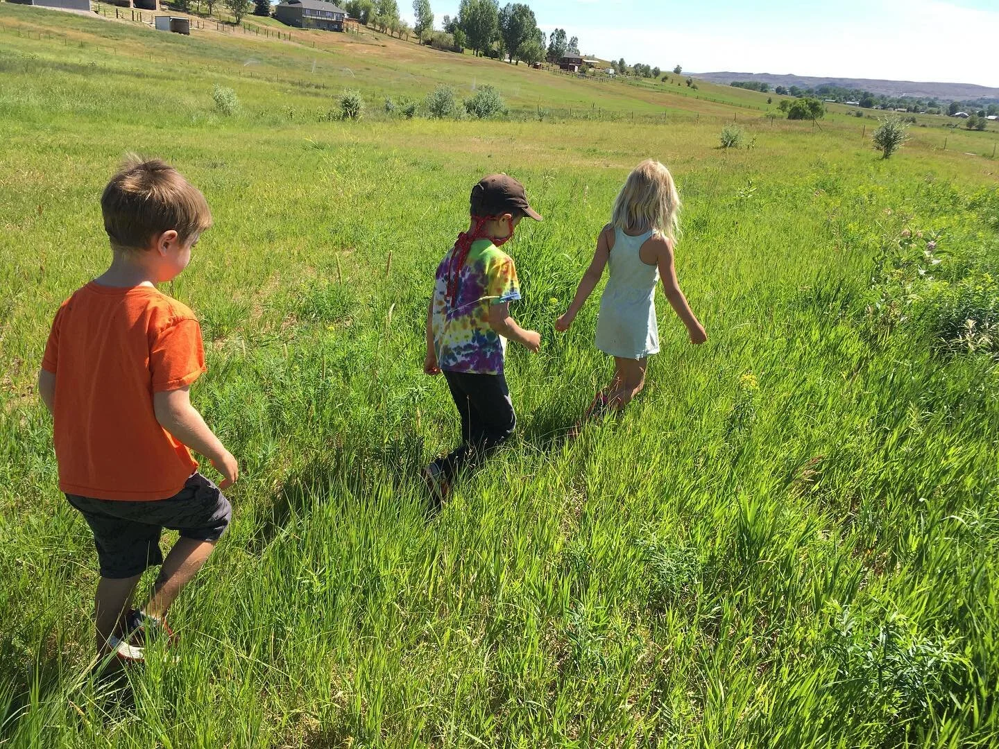 Somedays you&rsquo;ve just got to follow the irrigation ditch until the water runs out and then solve the mystery of where it all went.