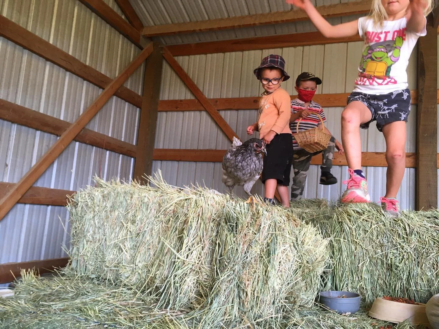 It&rsquo;s Farm Week again at @applevalleyschool! That means hay bails, egg hunts, edible flowers, and ridding the mint patch of grasshoppers. 
🌱
🌱
🌱
🌱
Big thanks to @noonan_kerry for hosting these curious kids at her Sweet Blossom Homestead!