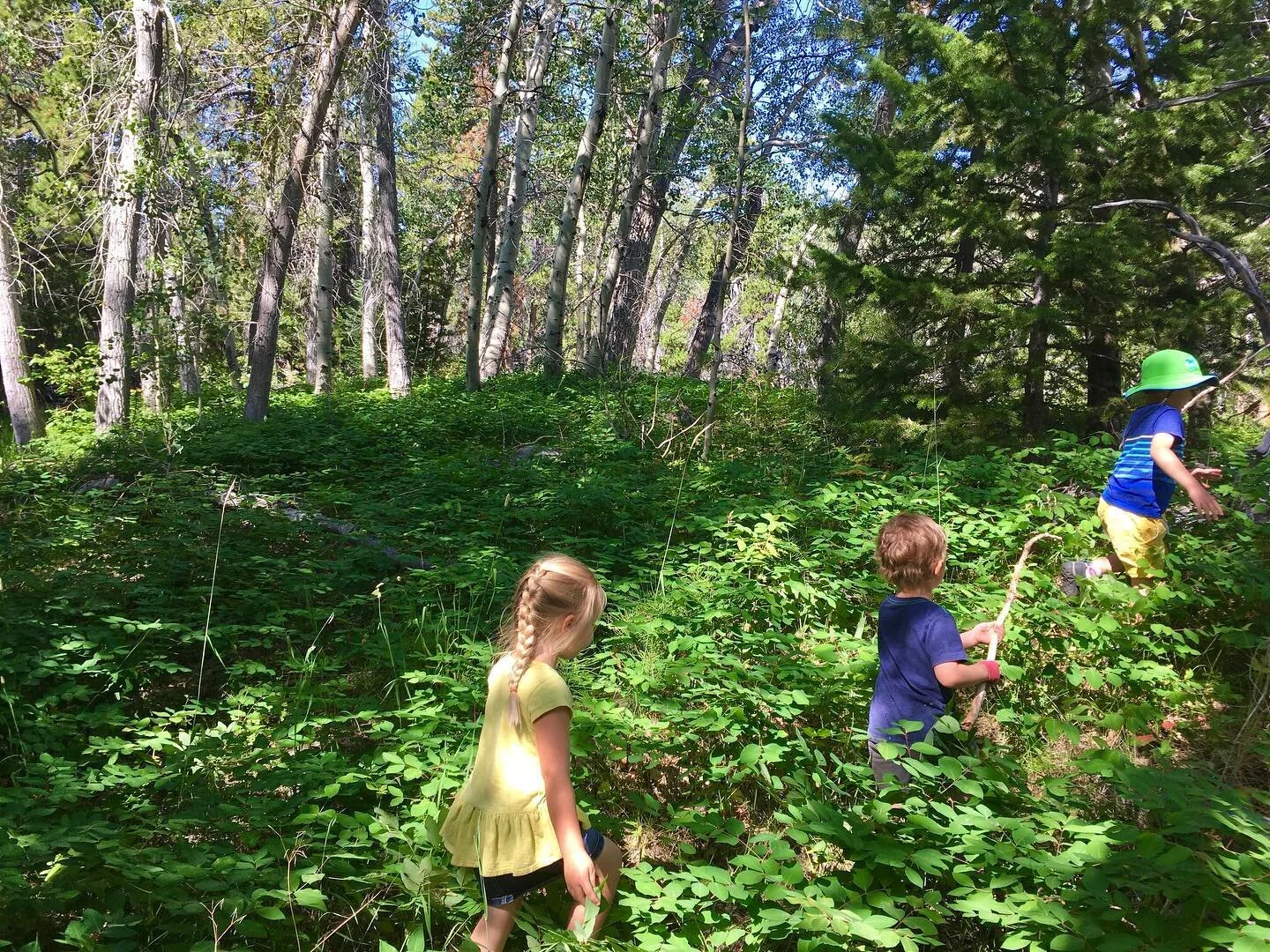 What a beautiful week with these creative kids. In our fishing adventures today we caught rainbow trout, brown trout, pink trout, sperm whales, and megalodons! All catch and release😉
 
Happy Friday!