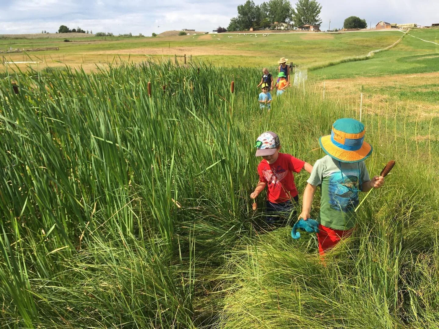 New week. 
New farm. 
New campers. 
Is there an emoji for every animal we saw today? 

🐸🐷🐥🐔🐴🐢🦗🕸🐏🐑🐇🐈🦋🐕the list goes on...

Thanks @asmedts for hosting us this week!
